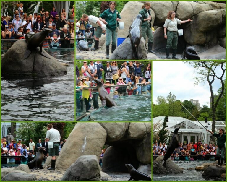 visiteurs explorant le zoo de central park