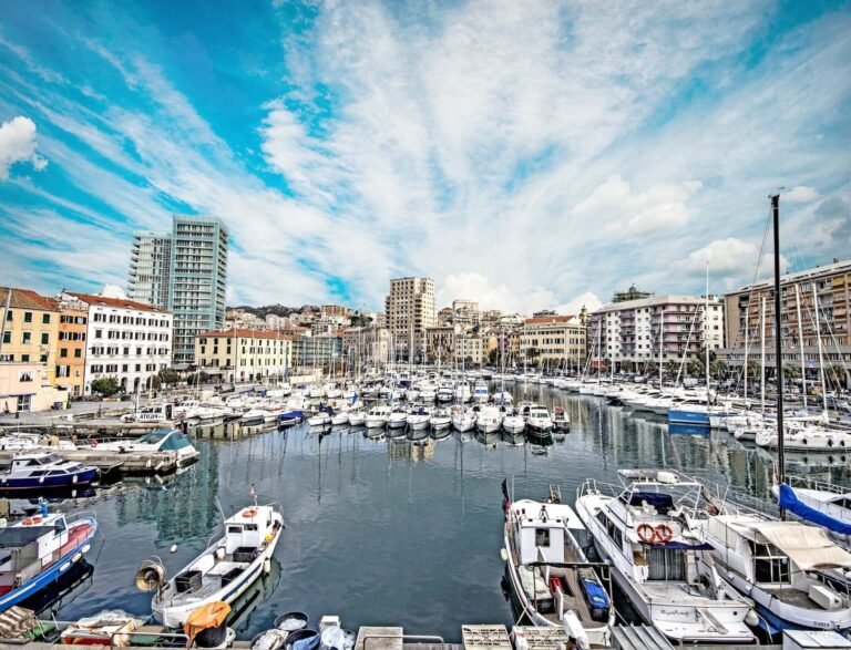 vue du port de savone et alentours