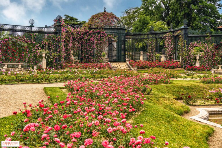 vue dun jardin fleuri a lhay les roses