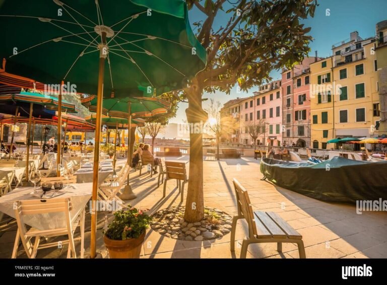 vue ensoleillee de la terrasse du restaurant