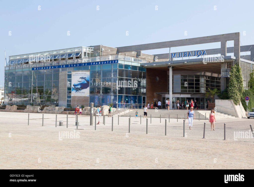 Où trouver des billets pas chers pour l'aquarium de La Rochelle 4 Où trouver des billets pas chers pour l’aquarium de La Rochelle