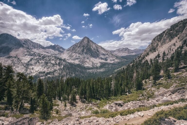vue panoramique du kings canyon majestueux
